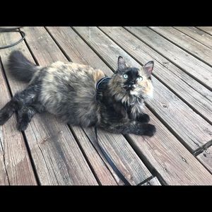 Meet your Posher, Christine